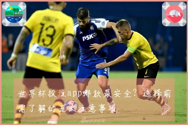 世界杯投注app哪款最安全？选择前需了解的五大注意事项