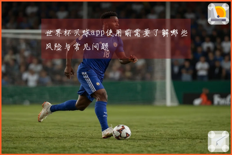 世界杯买球app使用前需要了解哪些风险与常见问题