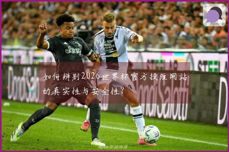 如何辨别2026世界杯官方投注网站的真实性与安全性？